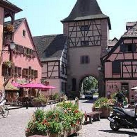Gite Les Cigogneaux Turckheim Exterior foto