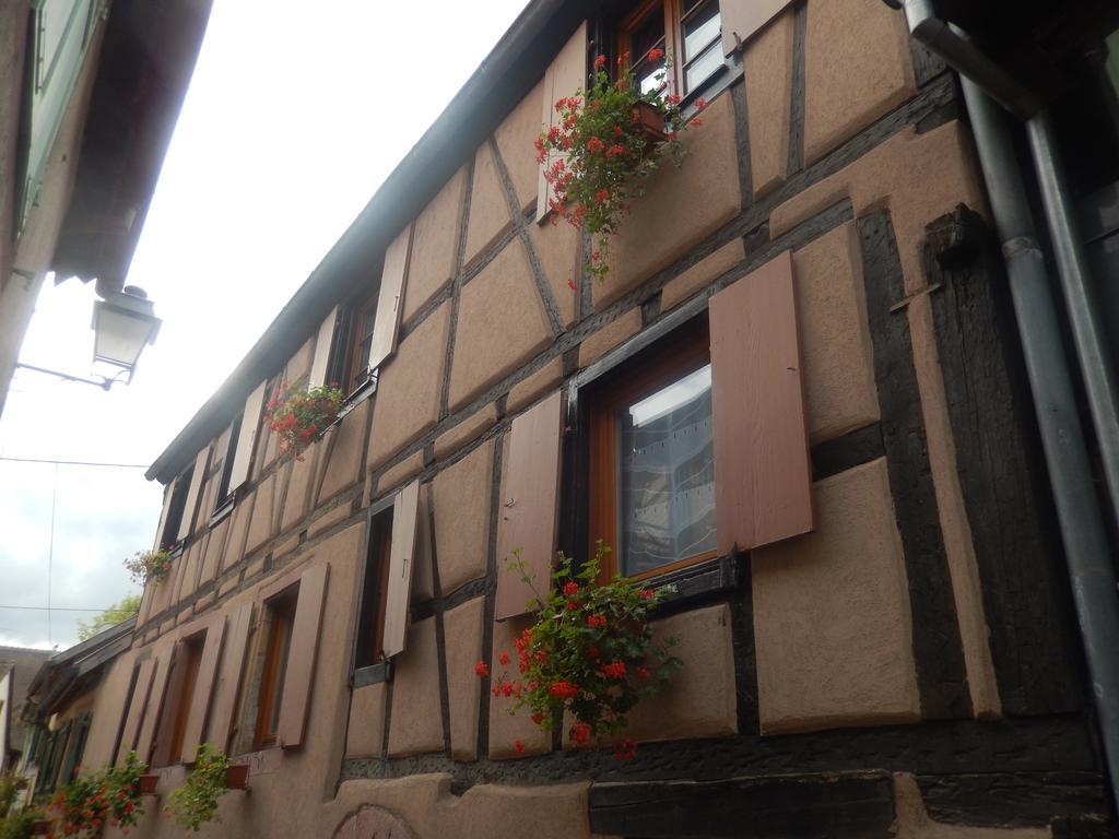 Gite Les Cigogneaux Turckheim Exterior foto