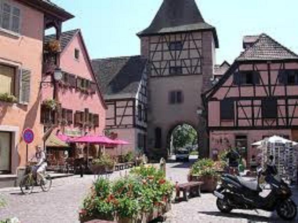 Gite Les Cigogneaux Turckheim Exterior foto